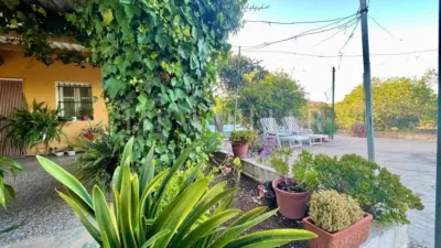 Rustic finca in Albatera photo 25