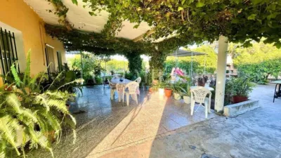 Rustic finca in Albatera photo 27