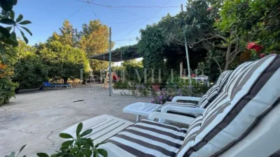 Rustic finca in Albatera photo 29