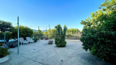 Rustic finca in Albatera photo 31