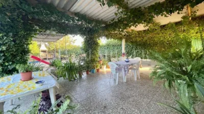 Rustic finca in Albatera photo 32