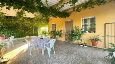 Rustic finca in Albatera photo 34