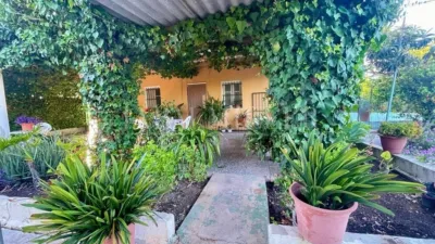 Rustic finca in Albatera photo 39