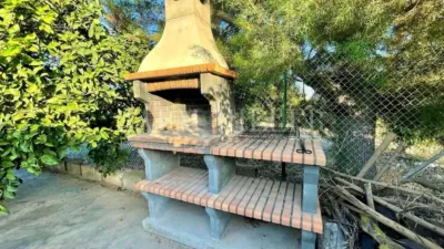 Rustic finca in Albatera photo 40