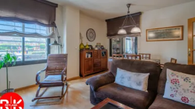 Apartment in Ambroz photo 9