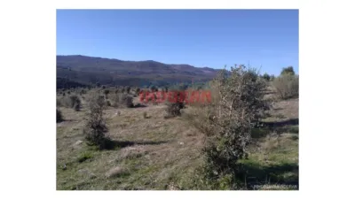 Finca rústica en Fresnedoso de Ibor photo 3