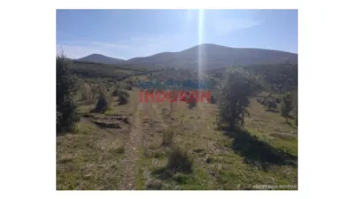 Finca rústica en Fresnedoso de Ibor photo 5