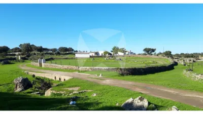 Rustic farm in Monroy photo 14