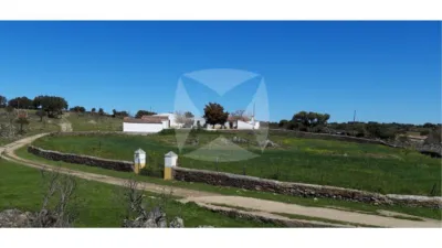 Finca rústica en venta en Monroy - Vista 4