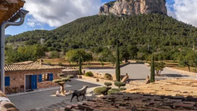 Rustic house in Alaró photo 16