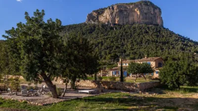Rustic house in Alaró photo 21