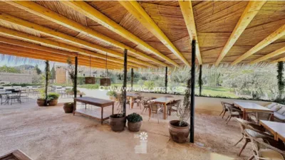 Apartment in Son Servera photo 30