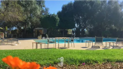 Apartment in Son Servera photo 4