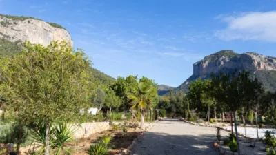 Rustic villa in Alaró photo 23