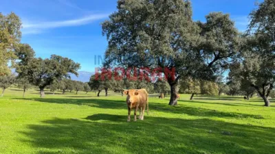 Rustic farm in Casatejada photo 2