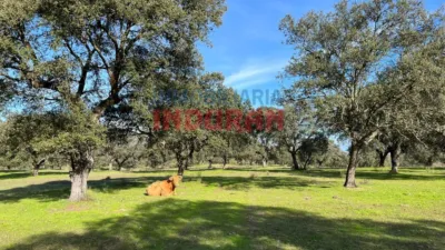 Rustic farm in Casatejada photo 4