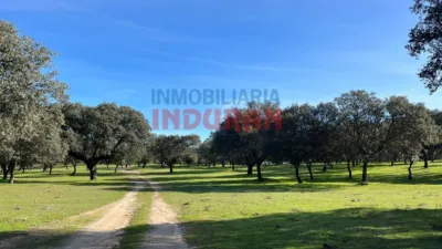 Rustic farm in Casatejada photo 6