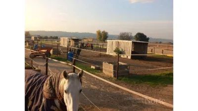 Finca rústica en venta en Fuente El Saz de Jarama, Fuente el Saz de Jarama de 350.000 €