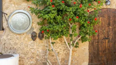 Rustic house in Alaró photo 6