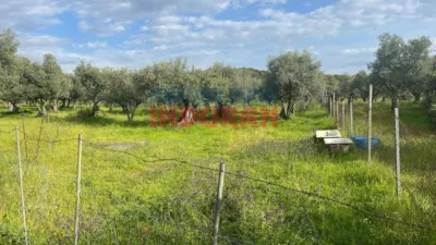 Rustic farm in Millanes photo 11