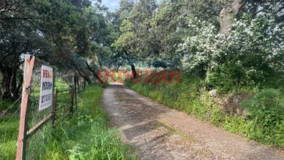 Finca rústica en venta en Millanes - Vista 4