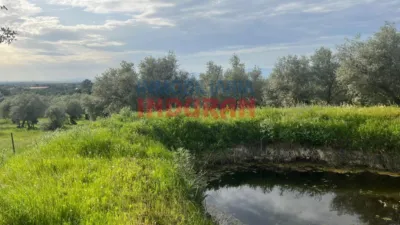 Finca rústica en venta en Millanes - Vista 5