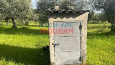 Finca rústica en venta en Millanes - Vista 6