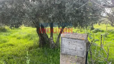 Finca rústica en venta en Millanes - Més