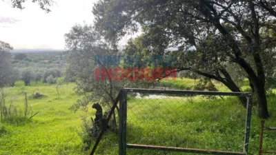 Rustic farm in Millanes photo 7