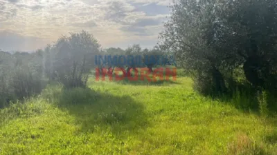 Rustic farm in Millanes photo 9