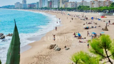 Casa en Castell d'Aro, Platja d'Aro i s'Agaró photo 51