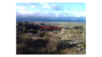 Finca rústica en venta en Villar del Pedroso - Vista 4