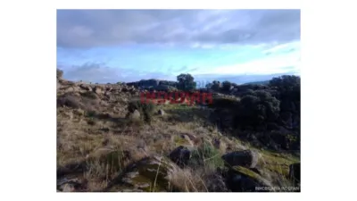 Finca rústica en venta en Villar del Pedroso - Vista 6