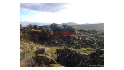Finca rústica en venta en Villar del Pedroso - Más
