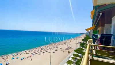 Apartment in Castell d'Aro, Platja d'Aro and s'Agaró photo 22