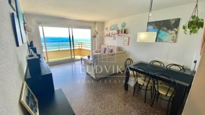 Apartment in Castell d'Aro, Platja d'Aro and s'Agaró photo 2