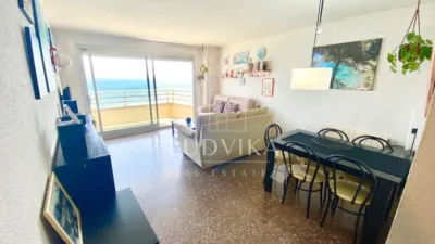 Apartment in Castell d'Aro, Platja d'Aro and s'Agaró photo 3