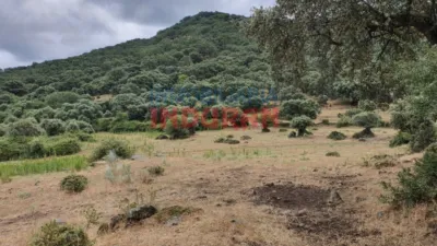 Finca rústica en venta en Casas del Castañar - Vista 5