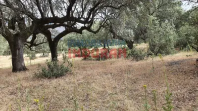 Finca rústica en venta en Casas del Castañar - Vista 6