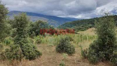 Finca rústica en venta en Casas del Castañar - Más