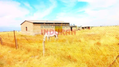 Finca rústica en venta en Navalmoral de La Mata - Vista 4