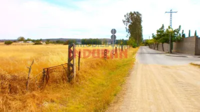 Finca rústica en venta en Navalmoral de La Mata - Vista 6