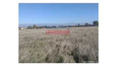 Finca rústica en venta en Navalmoral de La Mata - Més