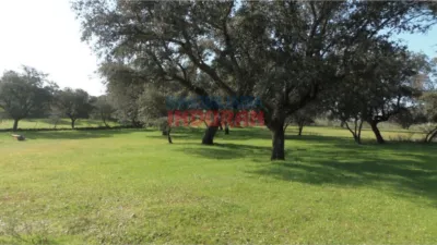 Finca rústica en venta en Valdehúncar - Más
