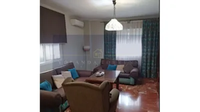 House in the Centre photo 11