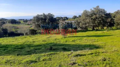 Finca rústica en venta en Millanes - Vista 4