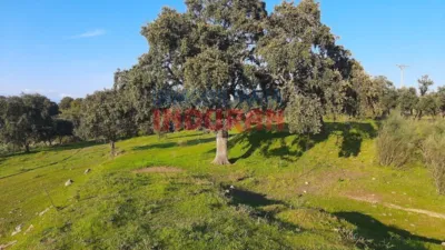 Finca rústica en venta en Millanes - Vista 5
