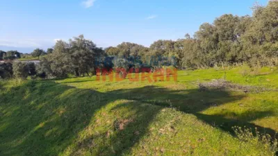 Finca rústica en venta en Millanes - Més