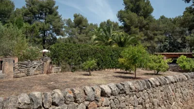 Rustic house in Cala Alga photo 29