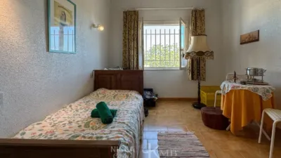 Rustic Finca in La Algarrobina photo 15